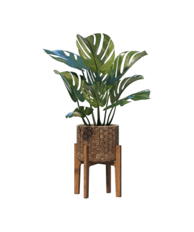 shop-lifestyle-bg-05